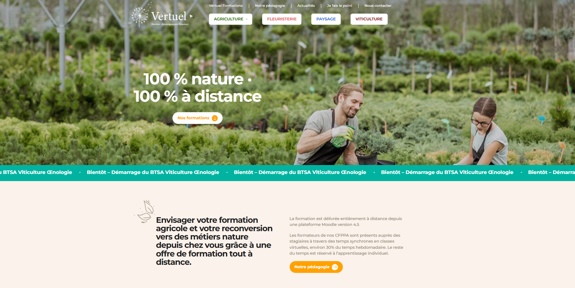 Le site web Vertuel Formations fait peau neuve - Vertuel