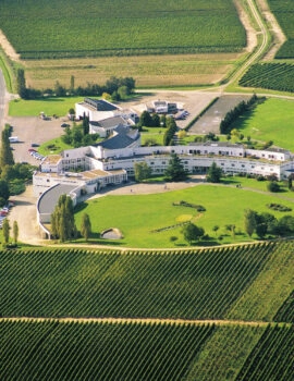 Séminaire d&rsquo;équipe BTSA Viticulture Œnologie à distance